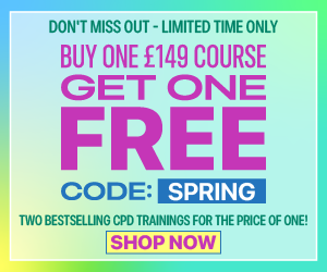 UK Bogo V1 300X250